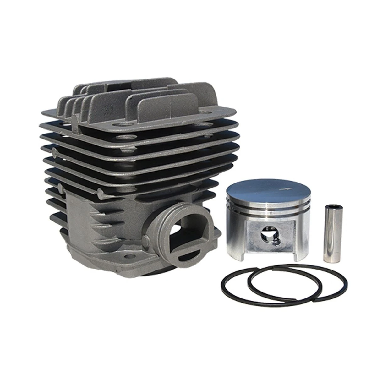 Oil Seal
