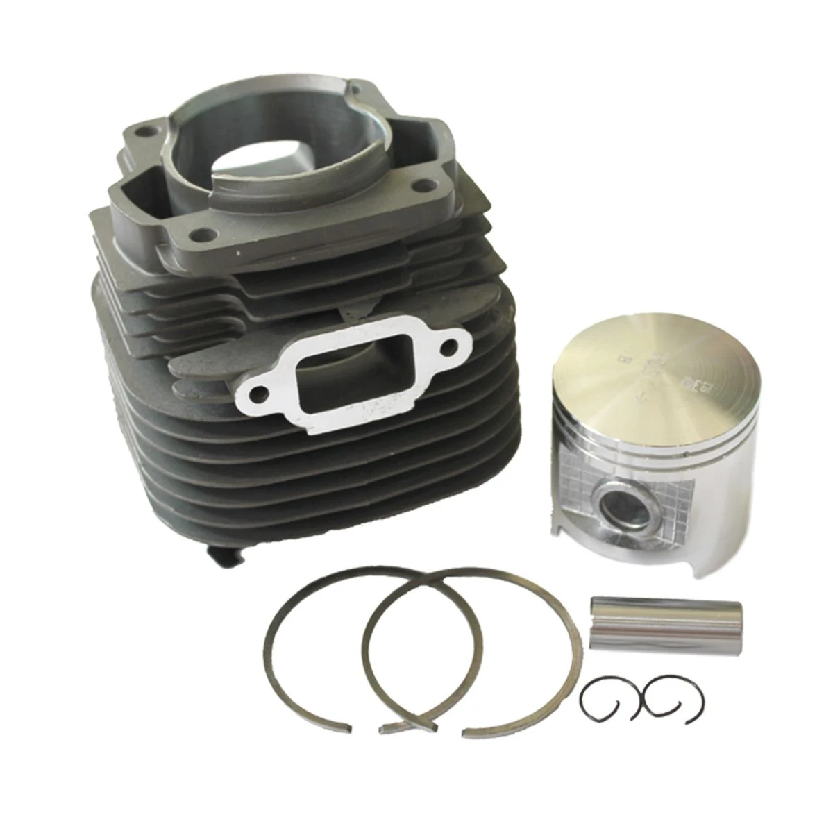 Oil Seal