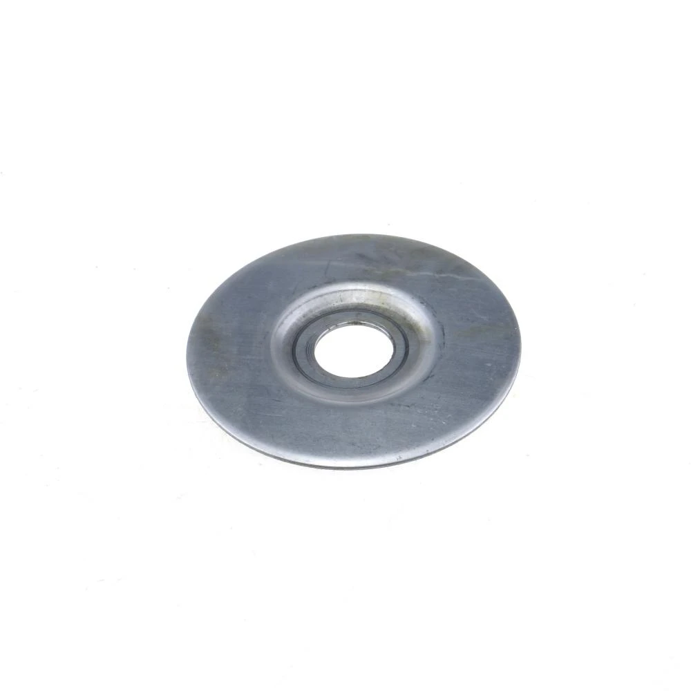 Oil Seal