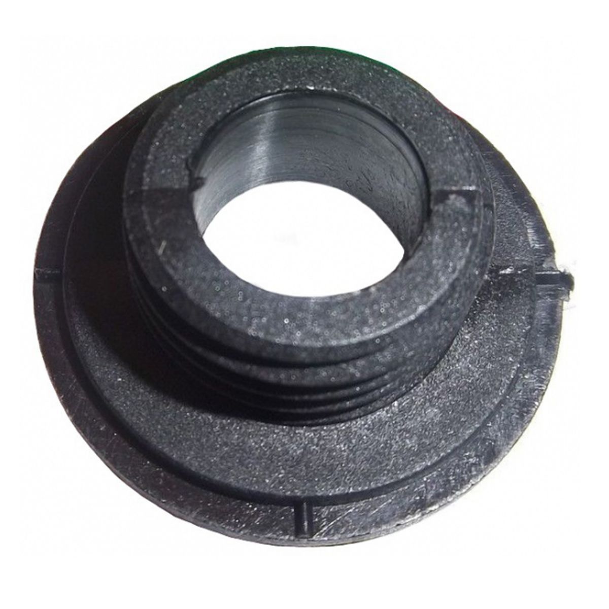 Oil Seal