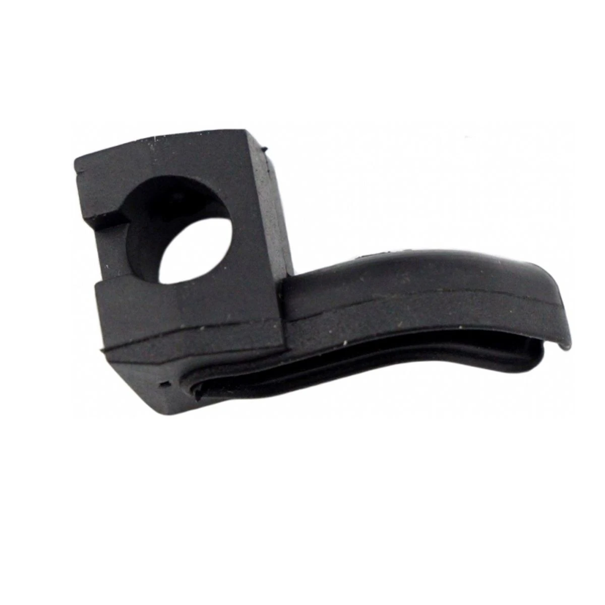 Oil Seal