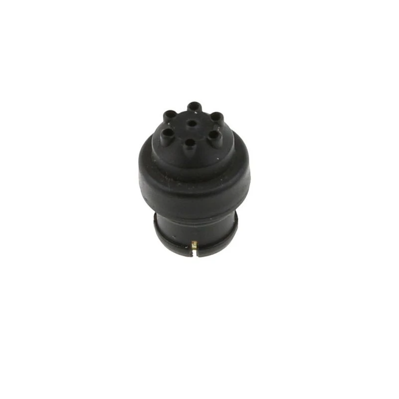 Oil Seal