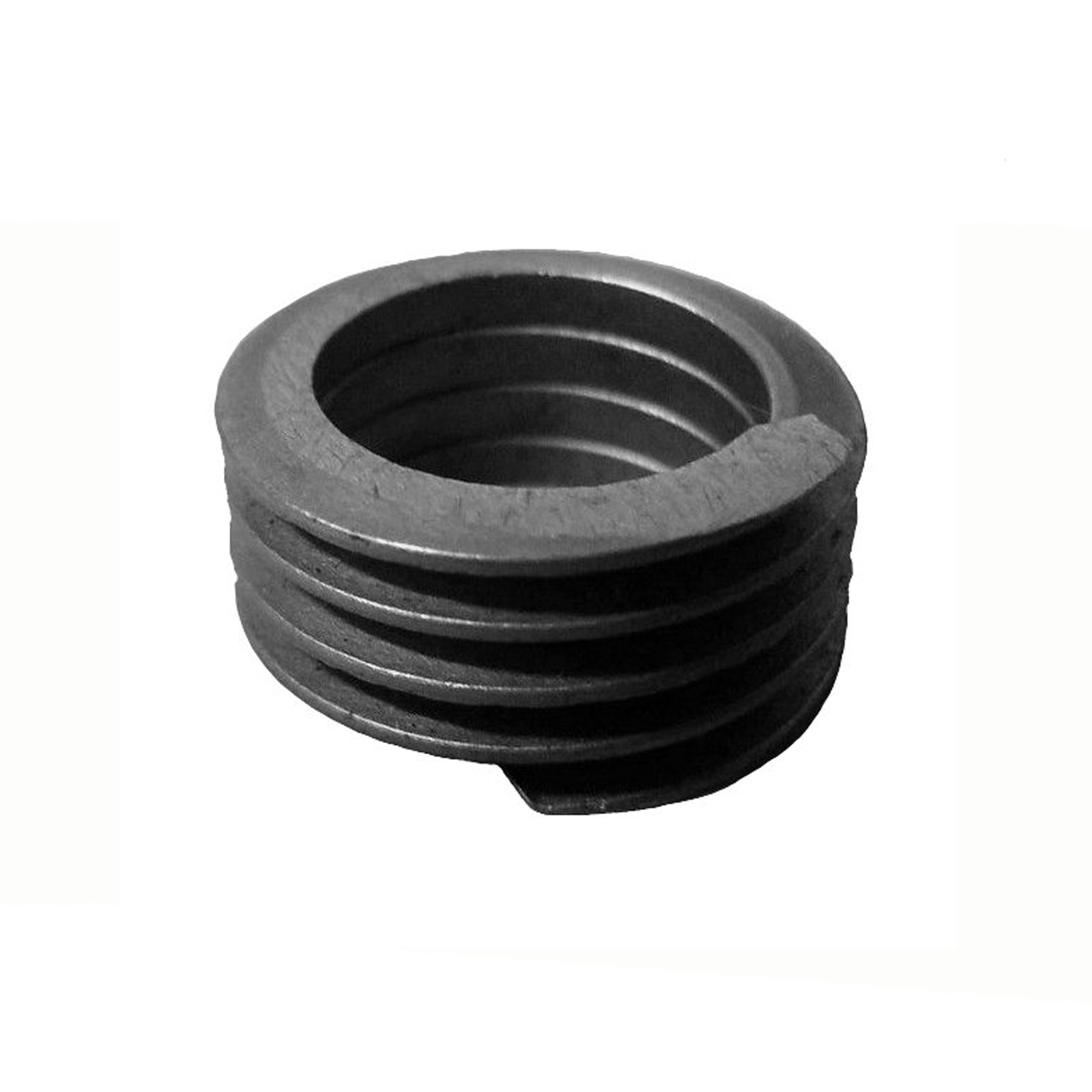 Oil Seal