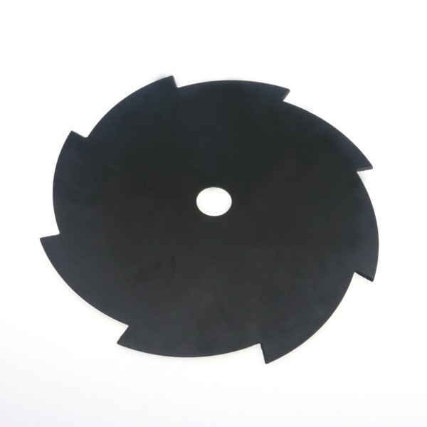 Oil Seal