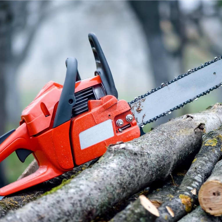 Main Parts of a Chainsaw