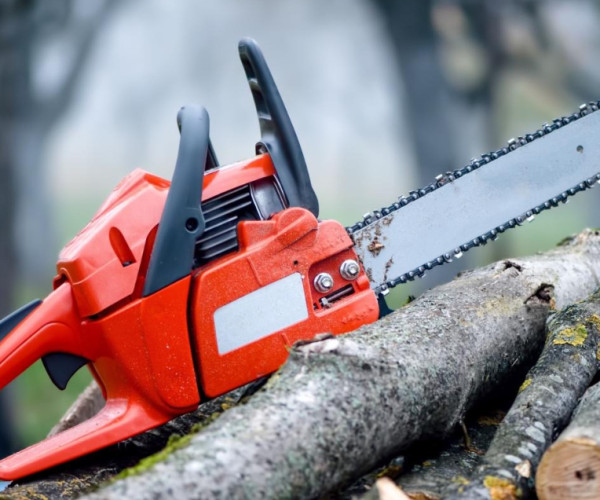 Main Parts of a Chainsaw