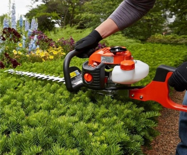 How to Maintain Your Hedge Trimmer?