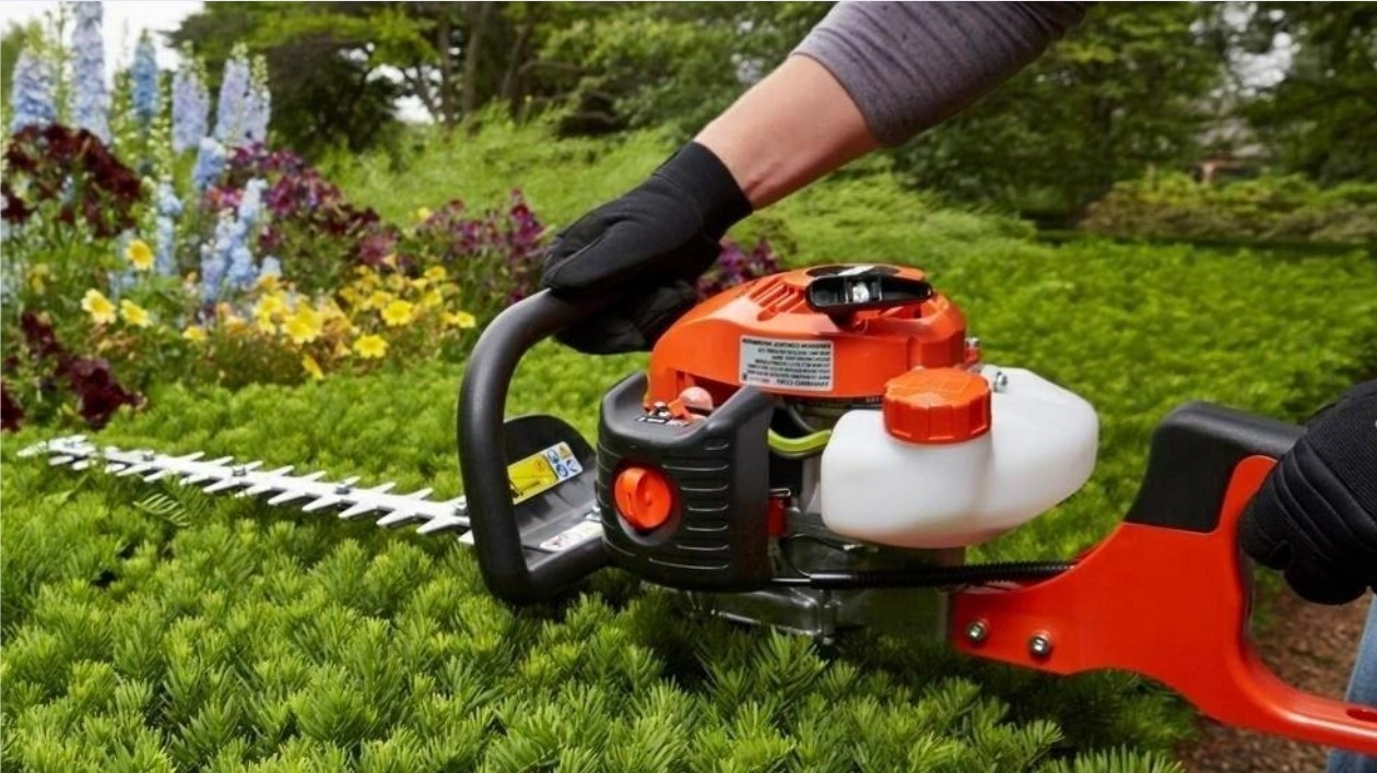 maintain a hedge trimmer
