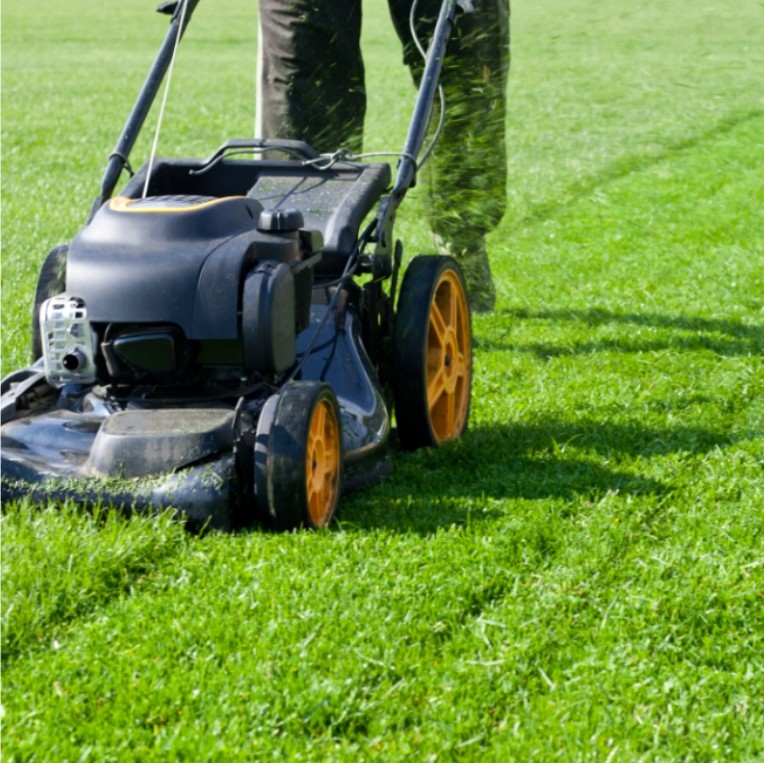 Lawn Mower Maintenance Tips