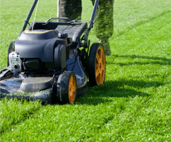 Lawn Mower Maintenance Tips