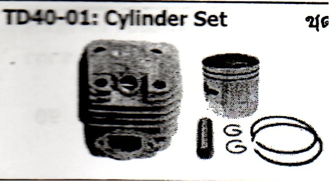 Oil Seal