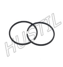 Oil Seal