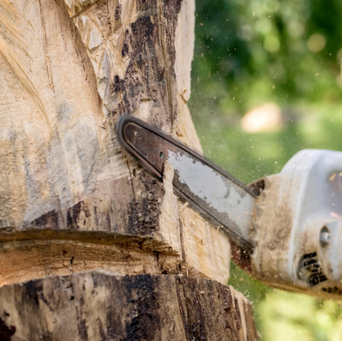 Chainsaw Maintenance Tips