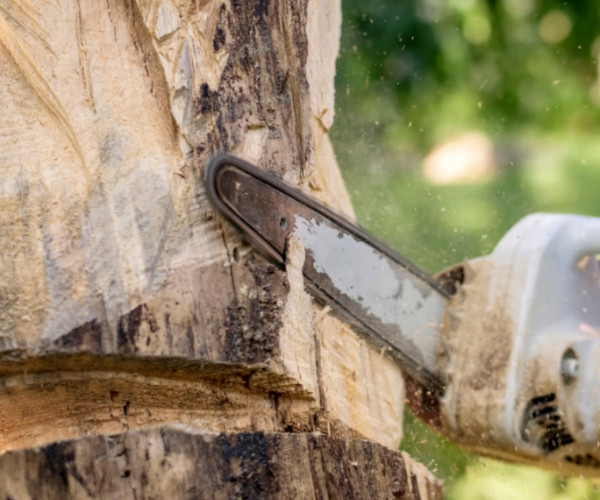 Chainsaw Maintenance Tips