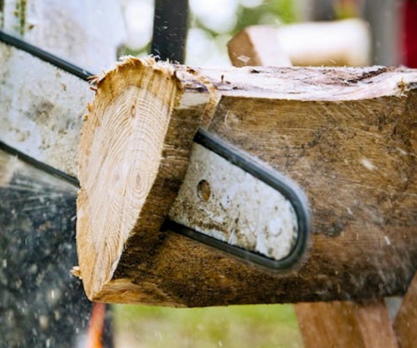 Chainsaw Guide Bar Guide