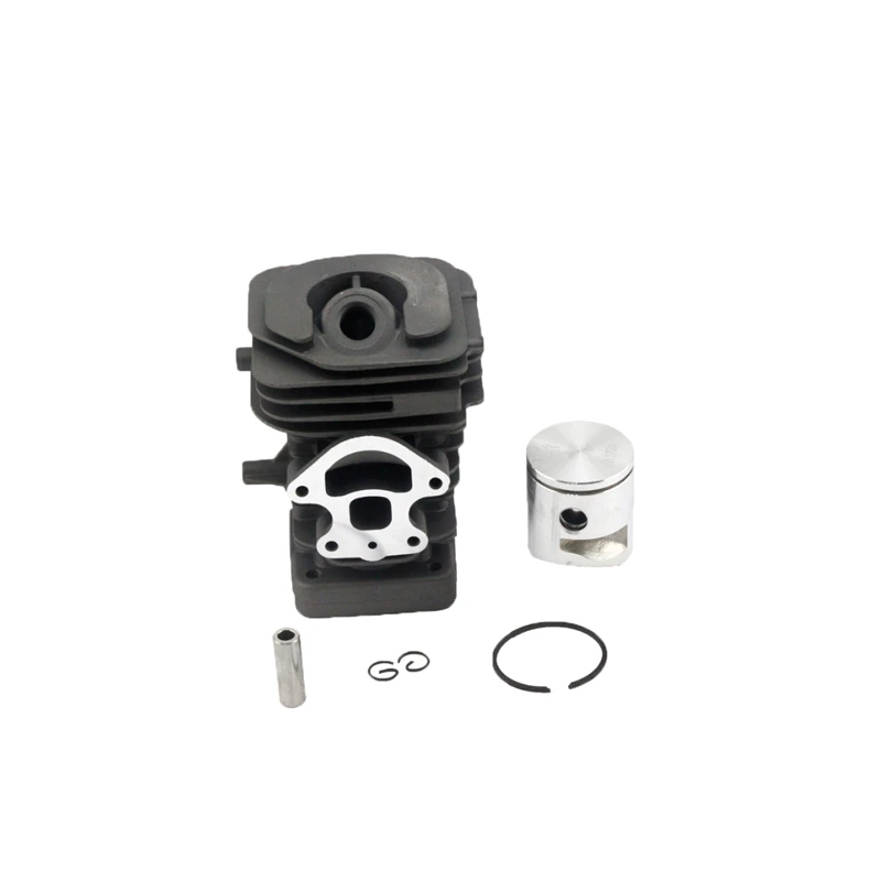 Oil Seal