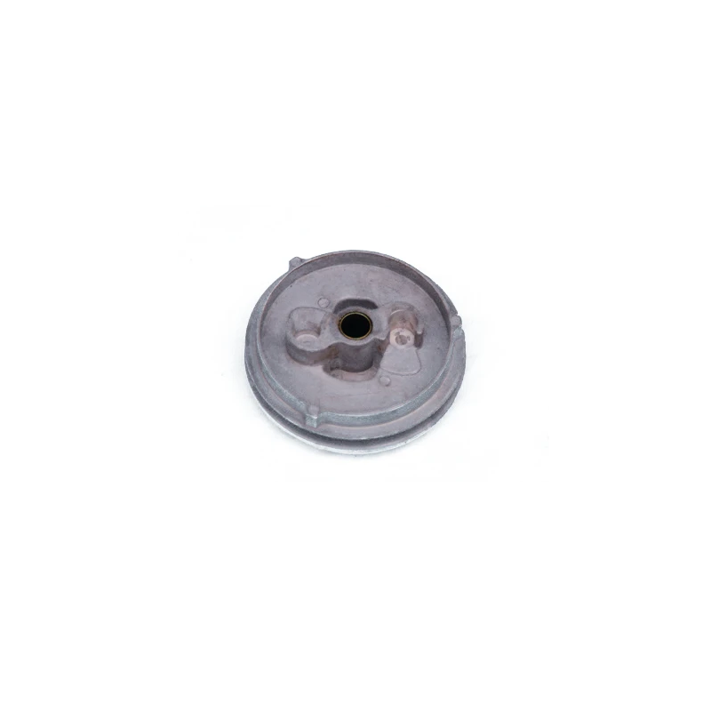 Oil Seal