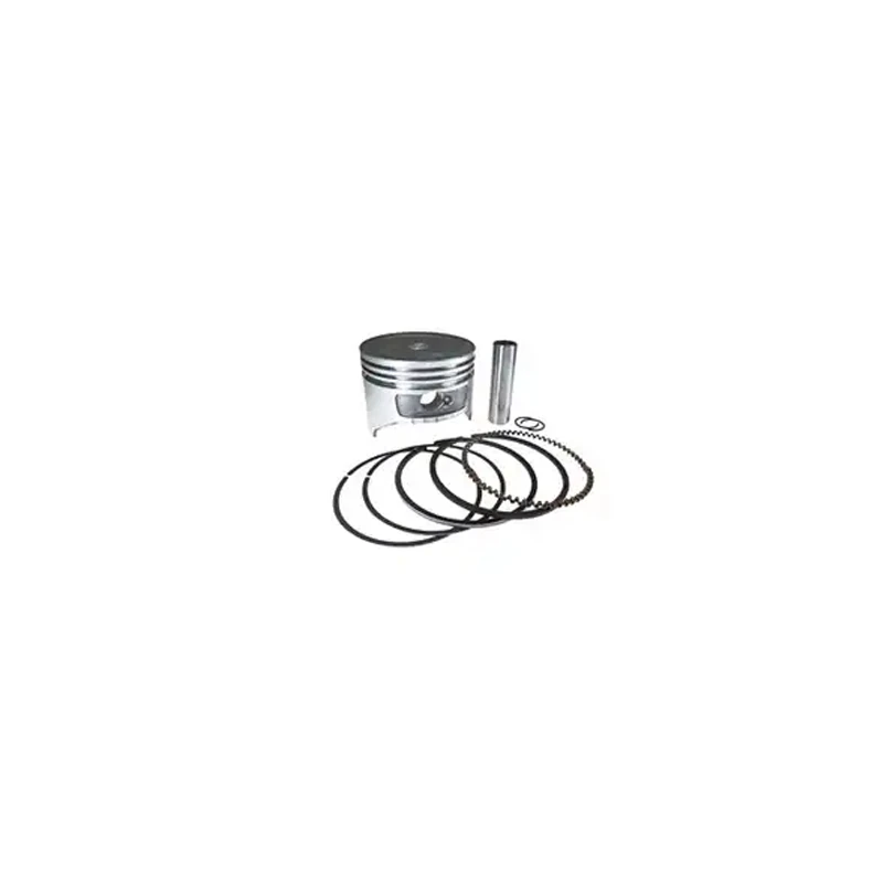 Oil Seal