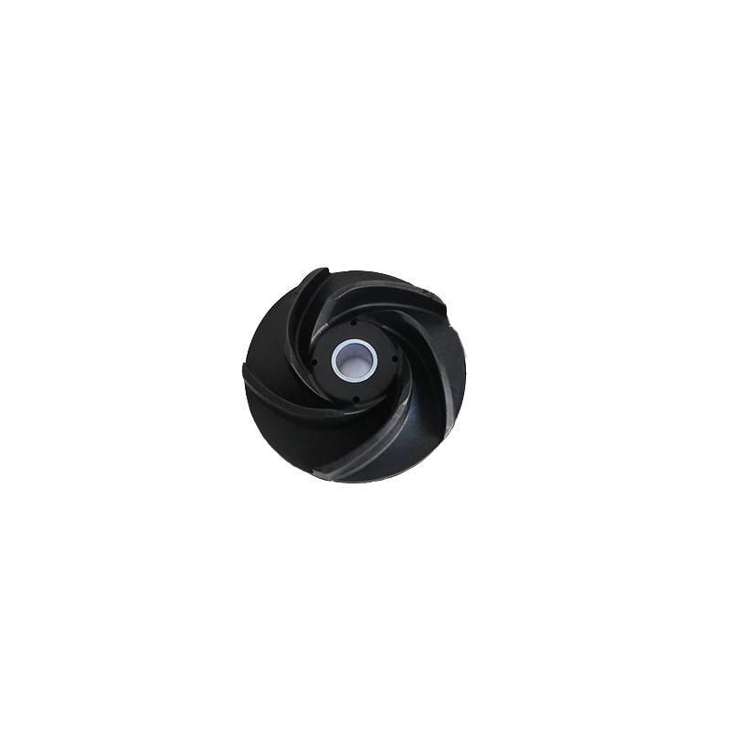 Oil Seal