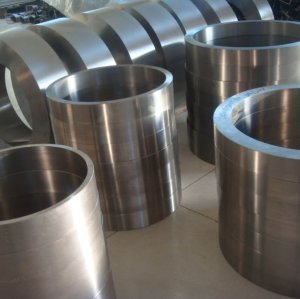 Gr2 forge titanium ring used in oil petroleum industry with compression and high temperature resistance