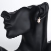 Wholesale Hd | Popular Brands Designer| White Zircon 18k Gold Plated | Vintage Tortoise Woman Stud Earrings| For Women Stainless