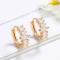 Wholesale Tarnish Hypoallergenic Earring | 18K Gold Plated Women Earrings| Fashion Huggies Earrings Trend 2023