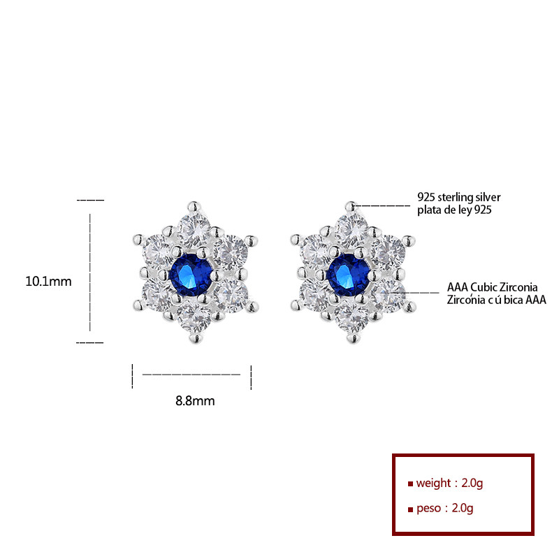 Deep Blue Hexagonal Silver Earrings with Zircon