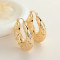 Hot Sale Wholesale Fashion Jewelry Personality Textured Trendy Gold Plated Earrings Wholesale