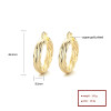 Joyería personalizada al por mayor pendientes de moda Hoops dorados de 18k de hierro para mujeres