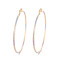 Hd Accessories Wholesale High Quality 18K Gold Waterproof Fine Jewelry For Women Hoop Earrings