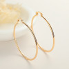 China Manufacturer Wholesale 18K Plated Jewelry Bulk Women Hoop Earrings For Women