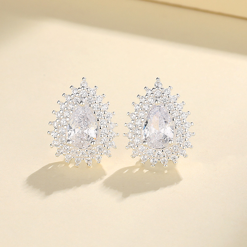 S925 Silver Earrings