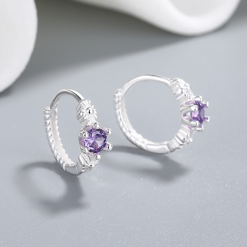 S925 Silver Zircon Earrings