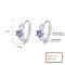 Purple Zircon Ladies' Gift Fashion Cz Jewelry Wholesale Versatile Stylish 925 Earrings