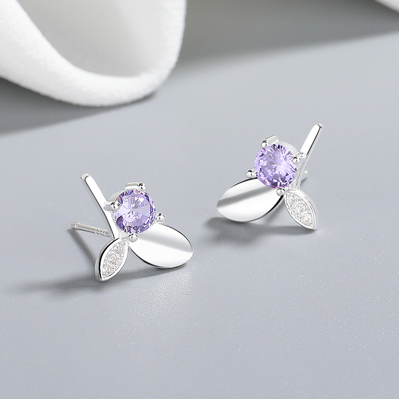 Exquisitos pendientes de plata S925