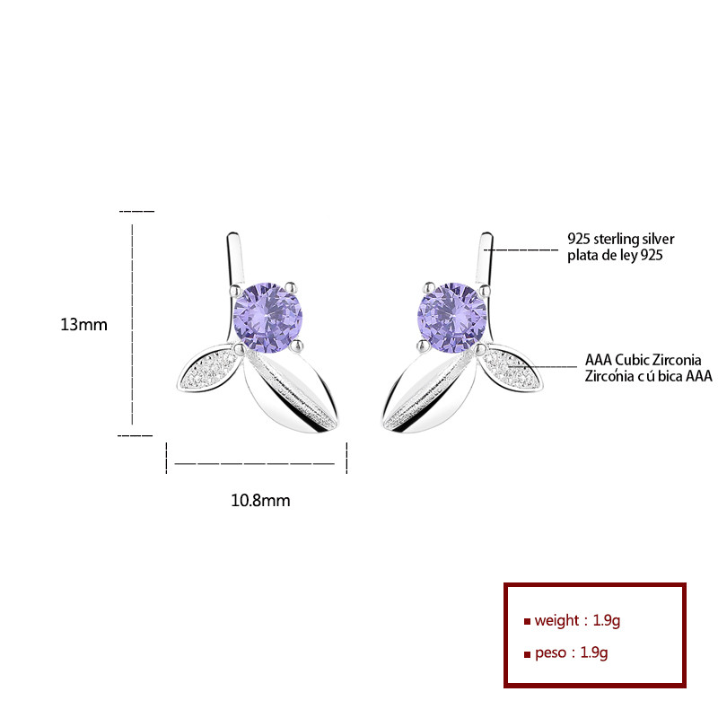 Exquisitos pendientes de plata S925