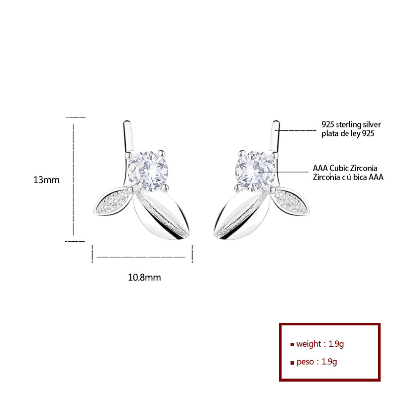 Exquisitos pendientes de plata S925