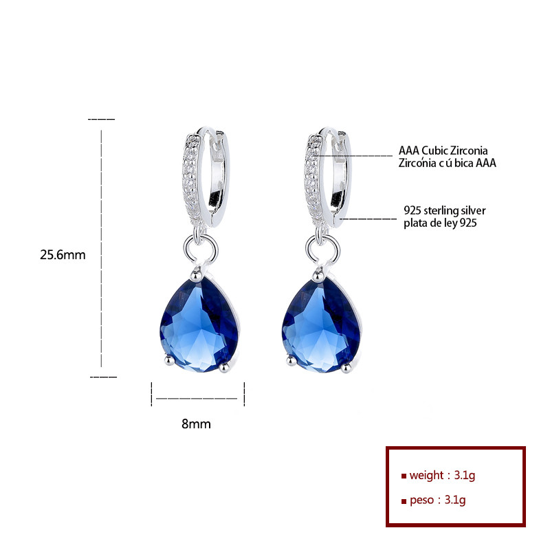 S925 Silver Classic Water Drop Zircon Earrings