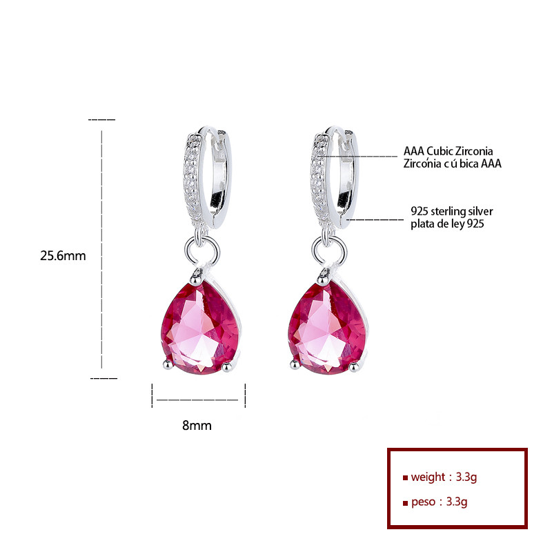 S925 Silver Classic Water Drop Zircon Earrings