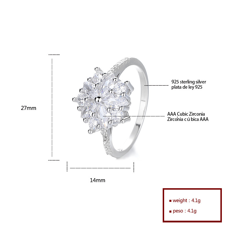 S925 Silver Classic Water Drop Zircon Earrings