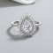 925 Silver Jewelry Ring With Independent Zircon Design Micro Paving Surrounding