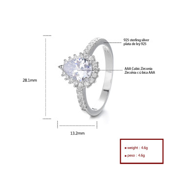 925 Silver Jewelry Ring With Independent Zircon Design Micro Paving Surrounding
