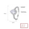 925 Silver Jewelry Ring With Independent Zircon Design Micro Paving Surrounding