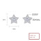 Chic 925 Sterling Silver Cubic Zirconia Women'S Stud Earrings For Wholesale Fine Jewelry Silver Earrings