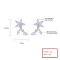 Star & Flower 925 Sterling Silver Women's Stud Earrings With Cubic Zirconia