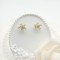 Flower Stud Earrings 18K Gold Plated Inlay Cubic Zircon Women's Jewelry Factory Direct Sales