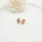 Monozircon Stud Earring Classic Design Elliptical Independent AAA Zircon 18K Gold-Plated Women's Jewelry Factory Direct Sales