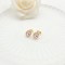 Monozircon Stud Earring Classic Design Elliptical Independent AAA Zircon 18K Gold-Plated Women's Jewelry Factory Direct Sales