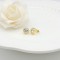 Monozircon Stud Earring Classic Circle Design AAA Zircon 18K Gold-Plated Women's Jewelry Factory Direct Sales