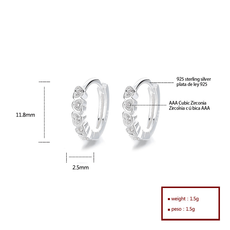 Radiant 925 Sterling Silver Cubic Zirconia Stud Earrings